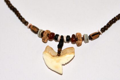Caden Shark Tooth Necklace I