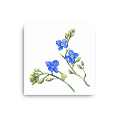 Wild Blue Clematis Canvas Print Wall Art