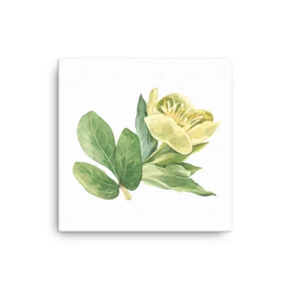 Yellow Buttercups Canvas Print Wall Art