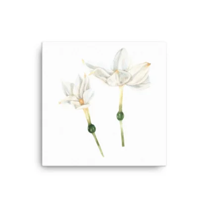 White Blooms Canvas Print Wall Art
