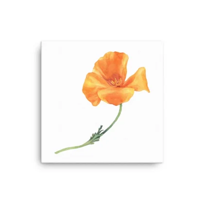 California Poppy Canvas Print Wall Art