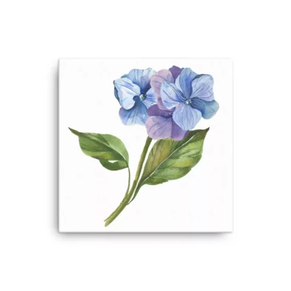 Hydrangea Buds Canvas Print Wall Art