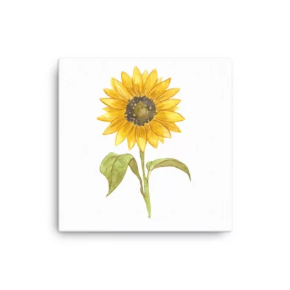 Sunflower Tall Canvas Print Wall Art