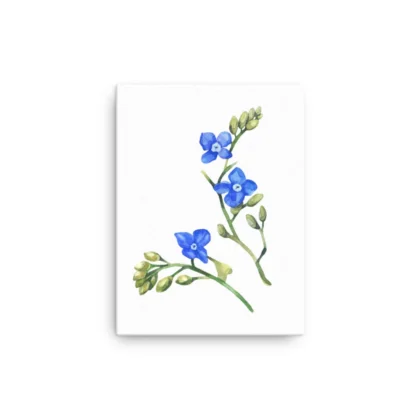 Wild Blue Clematis Canvas Print Wall Art
