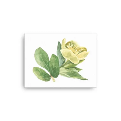 Yellow Buttercups Canvas Print Wall Art