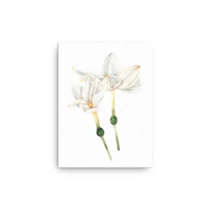 White Blooms Canvas Print Wall Art
