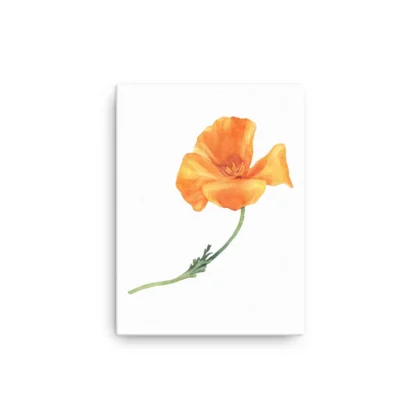 California Poppy Canvas Print Wall Art