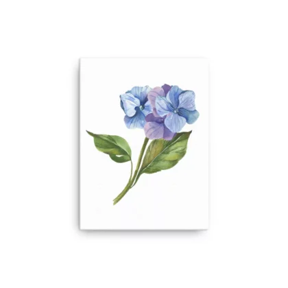 Hydrangea Buds Canvas Print Wall Art
