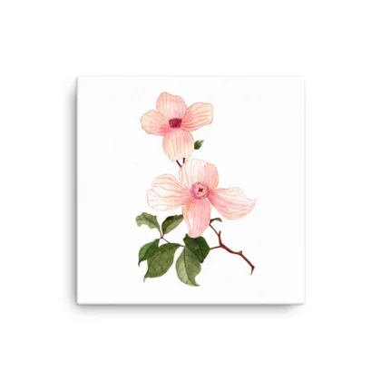 Pink Morning Canvas Print Wall Art