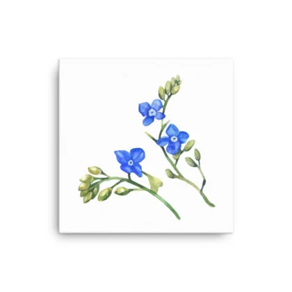Wild Blue Clematis Canvas Print Wall Art