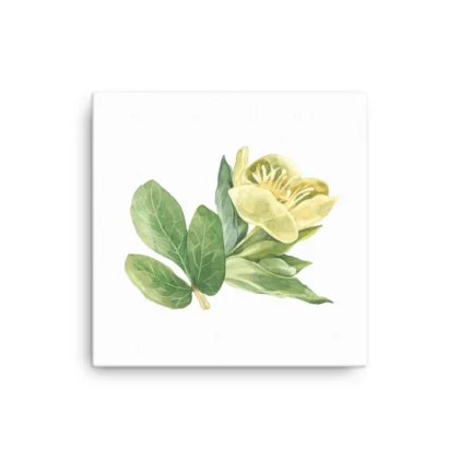 Yellow Buttercups Canvas Print Wall Art