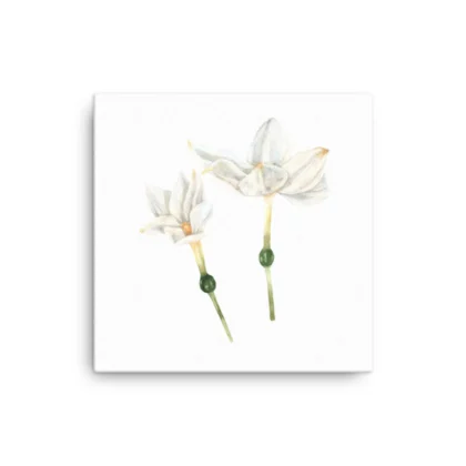 White Blooms Canvas Print Wall Art