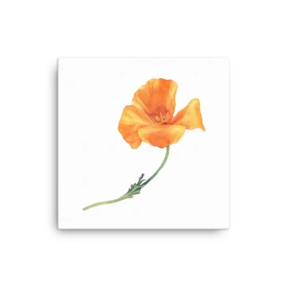 California Poppy Canvas Print Wall Art