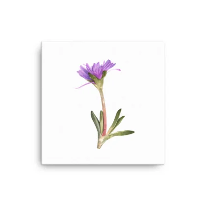 Purple Dream Canvas Print Wall Art