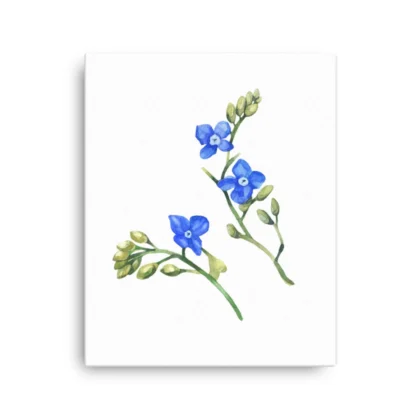 Wild Blue Clematis Canvas Print Wall Art