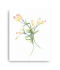 Golden Tulips Canvas Print Wall Art