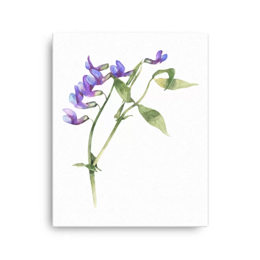 Bluebell Canvas Print Wall Art