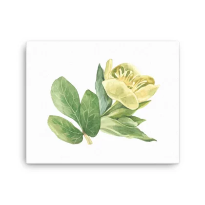 Yellow Buttercups Canvas Print Wall Art