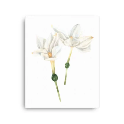 White Blooms Canvas Print Wall Art