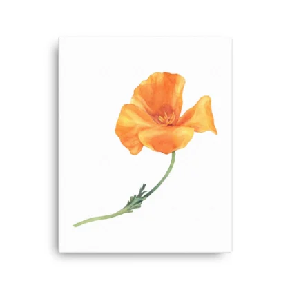 California Poppy Canvas Print Wall Art