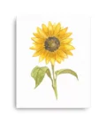 Sunflower Tall Canvas Print Wall Art