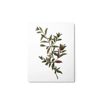 Wild Botanical Green Metal Print Wall Art
