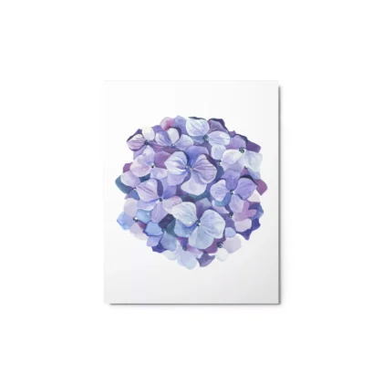 Hydrangea Blossoms Metal Print Wall Art