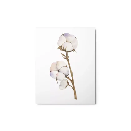 Cotton Plant Metal Print Wall Art