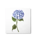 Blue Hydrangea Metal Print Wall Art - Image 3