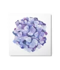 Hydrangea Blossoms Metal Print Wall Art - Image 3
