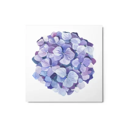 Hydrangea Blossoms Metal Print Wall Art