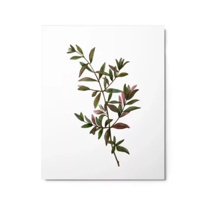 Wild Botanical Green Metal Print Wall Art