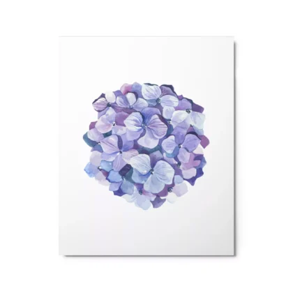 Hydrangea Blossoms Metal Print Wall Art