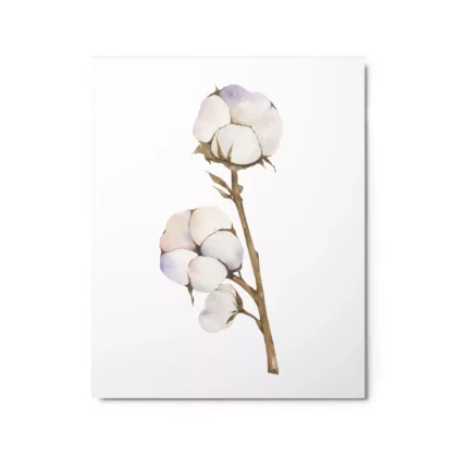 Cotton Plant Metal Print Wall Art