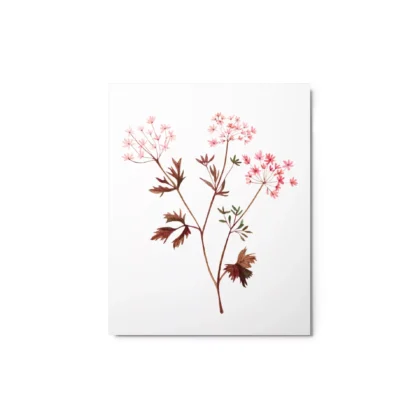 Petite Pink Wildflowers Metal Print Wall Art