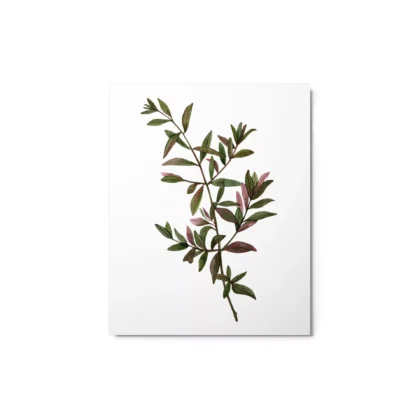 Wild Botanical Green Metal Print Wall Art
