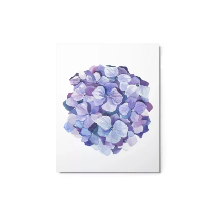 Hydrangea Blossoms Metal Print Wall Art