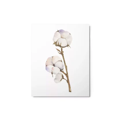 Cotton Plant Metal Print Wall Art