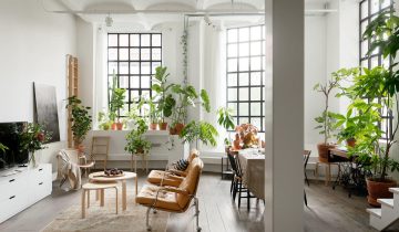 15 Plant decor ideas for a minimal effect with indoor house plants