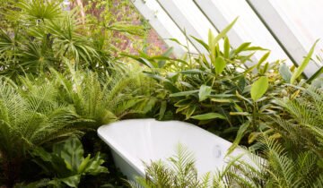 A Bondi Garden With A Rooftop Conservatory + Native Backyard