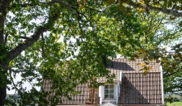 A Serene Swedish Lakeside Cottage Escape