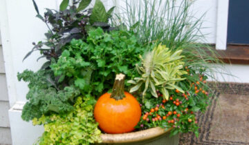 9 Ways to Refresh Your Summer Container Gardens for Fall