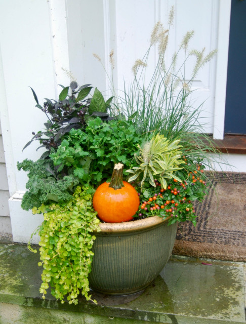 How to Water and Refresh Your Potted Plants Over the Summer