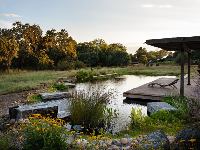 When and How to Plant a Tree, and Why You Should