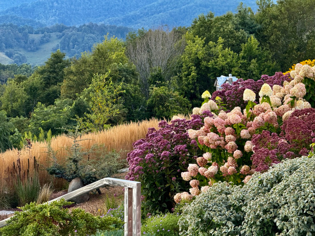 Show Us Your Labor Day Barbecue Party
