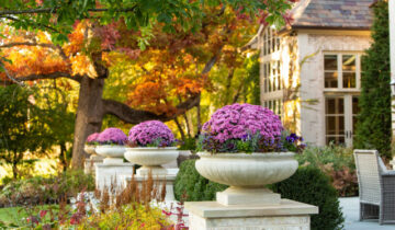 20 Favorite Flowers for the Fall Landscape
