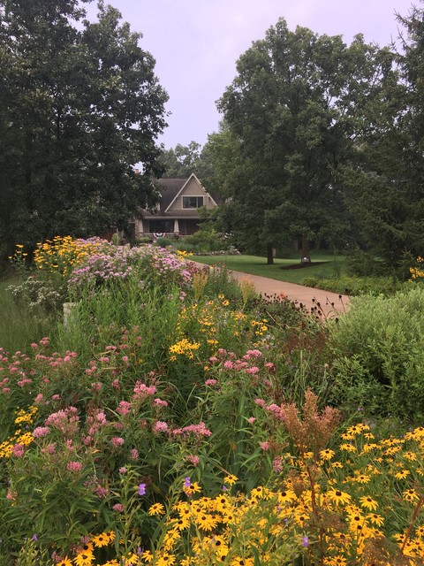 10 Top Flowering Native Plants for Beauty and Wildlife Benefit