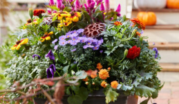 10 Fall Container Ideas to Celebrate the Season