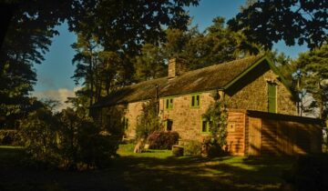 A Cosy Welsh Cottage and Its Gentle Wolfhound Host