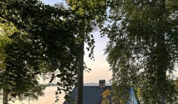 The Home Tours That Stole Your Hearts in 2025